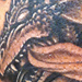 Tattoos - Smoke Dragon - 64308